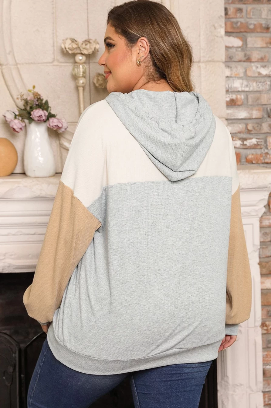 Shewin Women's Plus Size Multicolour Colorblock Drop Shoulder Ribbed Hoodie