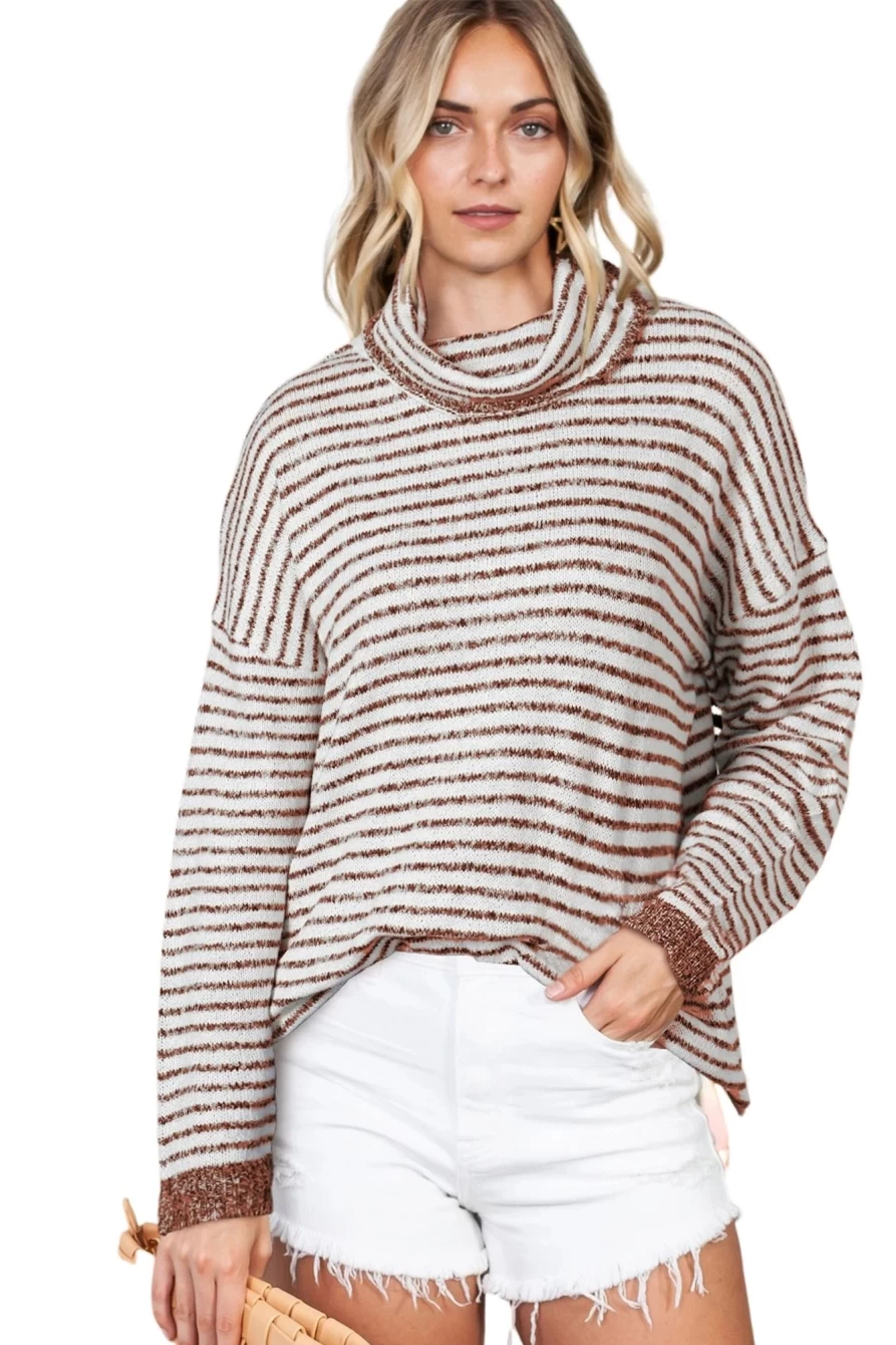 Shewin Women's Brown Striped Oversized Turtleneck Sweater