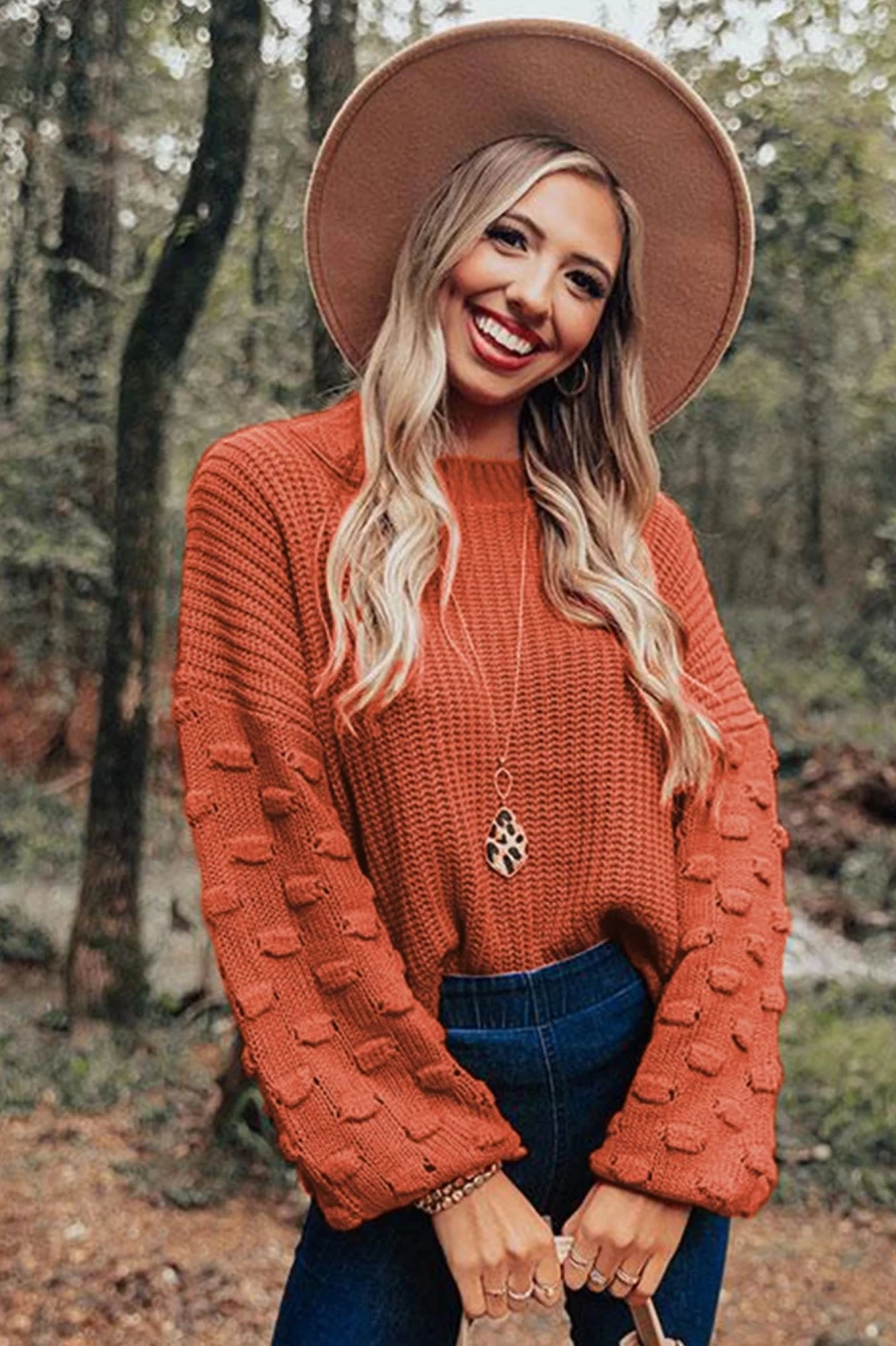 Women's Brown Casual Cropped Knit Sweater with Bubble Sleeves - Shewin