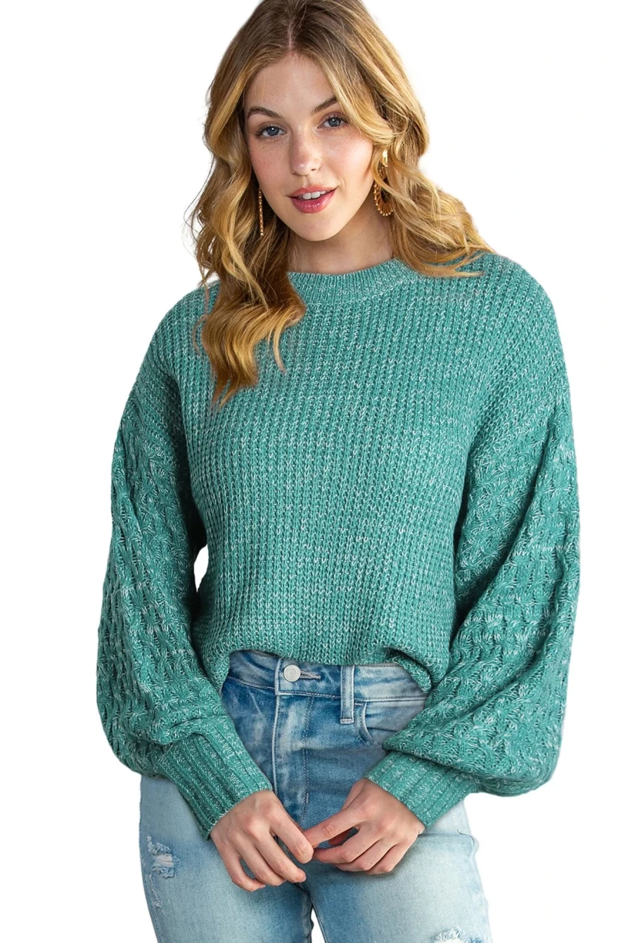 Shewin Women's Verdant Chunky Knit Drop Shoulder Sweater - Oversized Sleeve Pullover