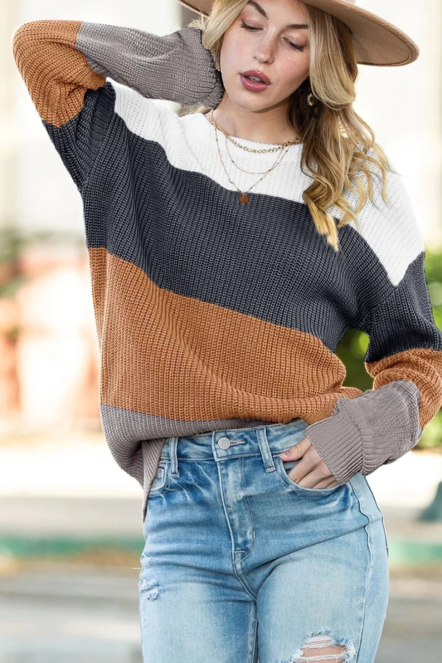 Shewin Women's Chestnut Color Block Knit Pullover Sweater Casual Comfortable