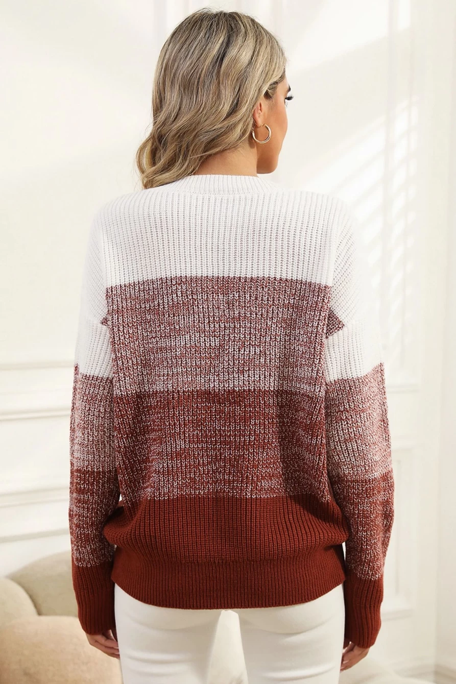 Shewin Women's Brown Color Block Drop Shoulder Ribbed Trim Sweater
