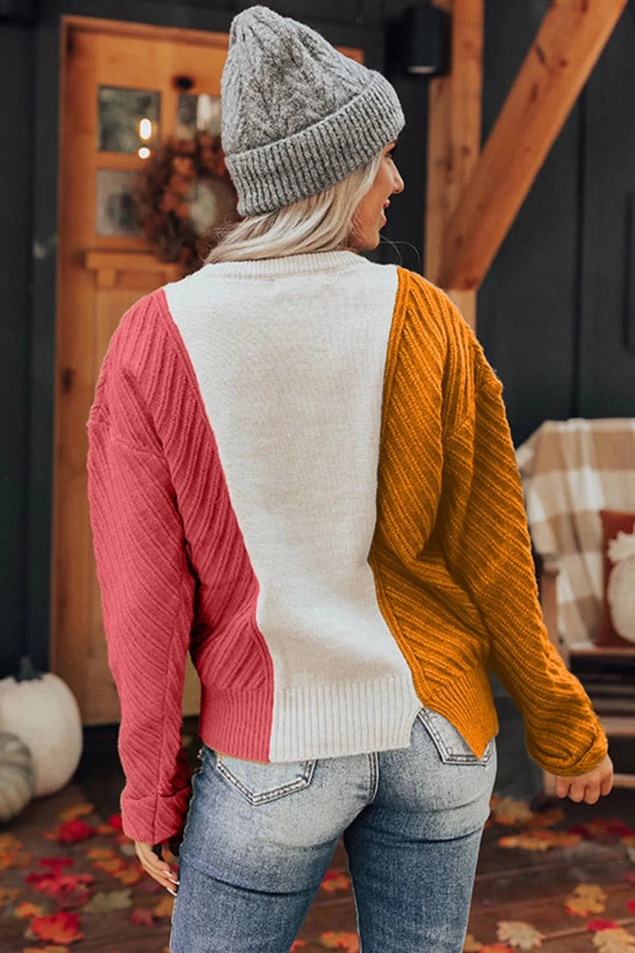 Shewin Women's Multicolor Colorblock Textured Drop Shoulder Sweater