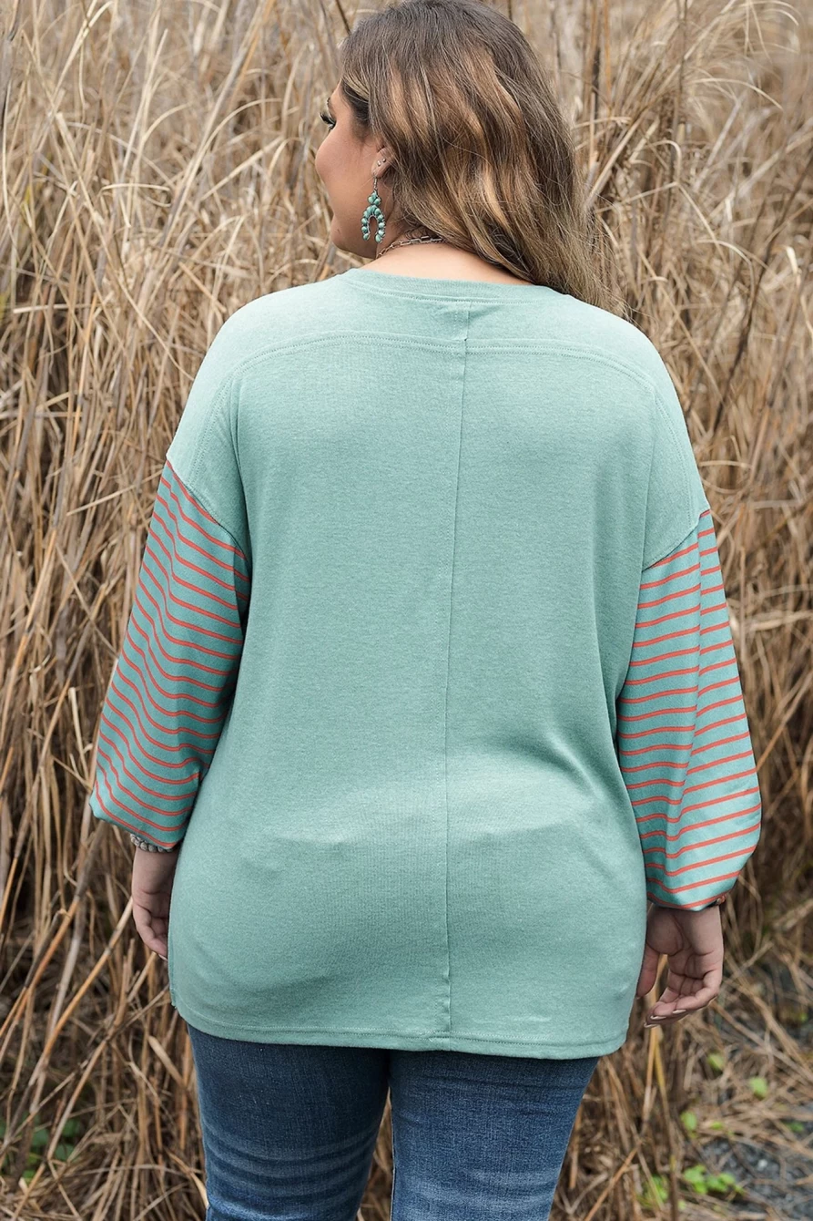 Shewin Women's Plus Size Grass Green Striped Colorblock Long Sleeve Top