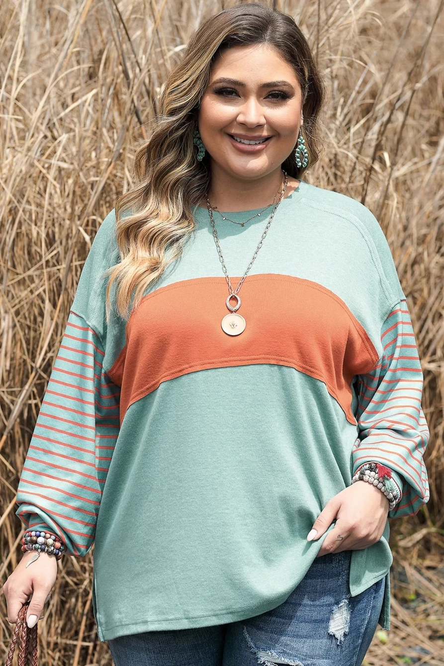 Shewin Women's Plus Size Grass Green Striped Colorblock Long Sleeve Top