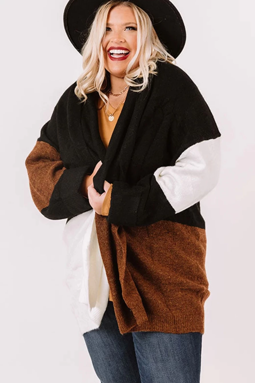 Shewin Women's Brown Plus Size Color Block Open Front Cardigan