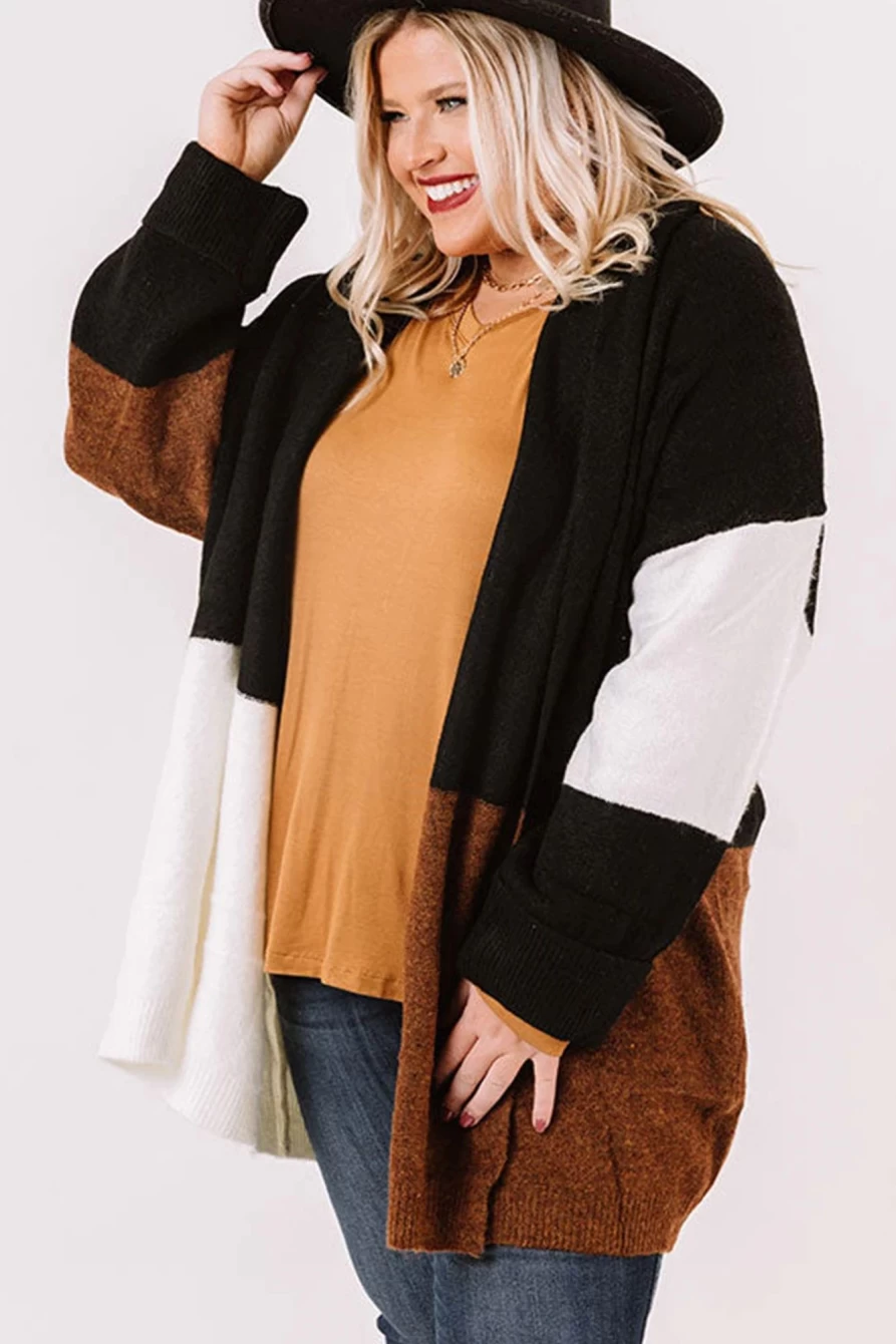 Shewin Women's Brown Plus Size Color Block Open Front Cardigan