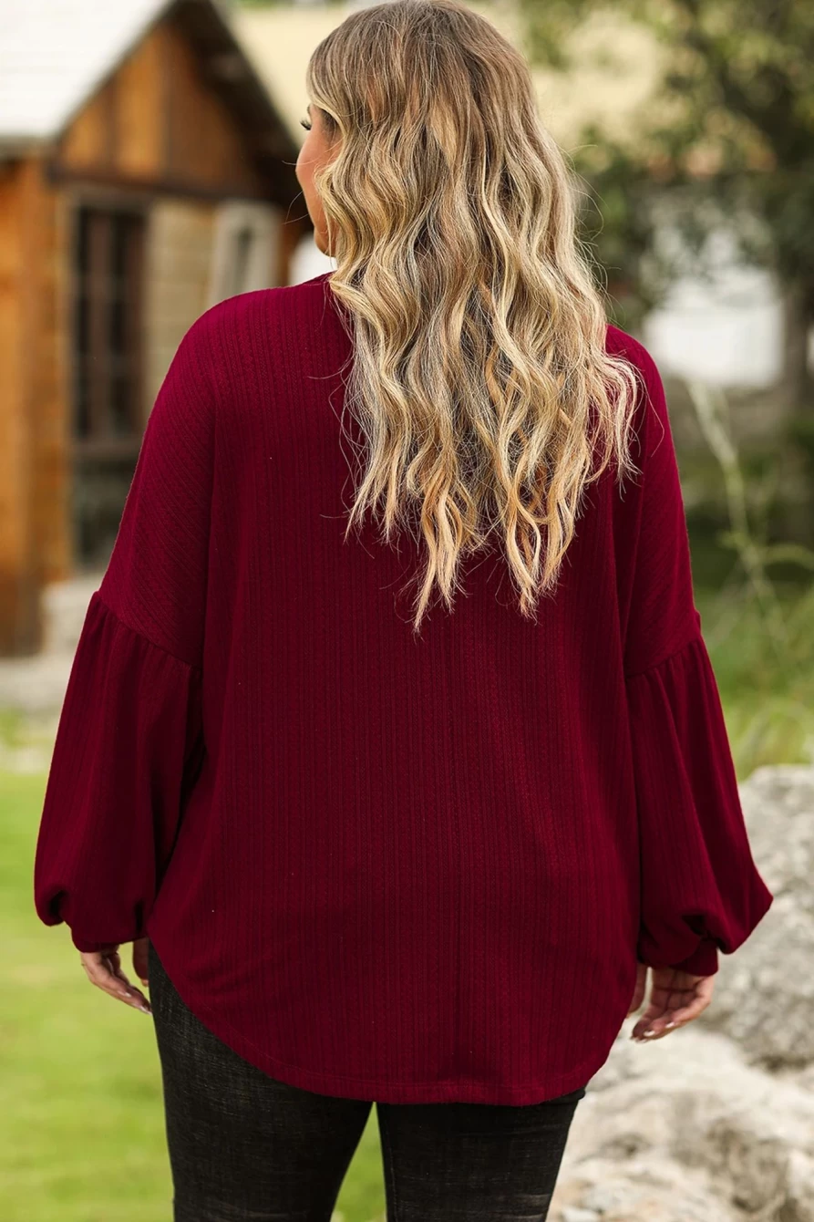 Shewin Women's Ruby Plus Size Textured Knit Top with Balloon Sleeves